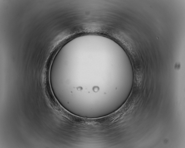 X0000098210583200805011213
