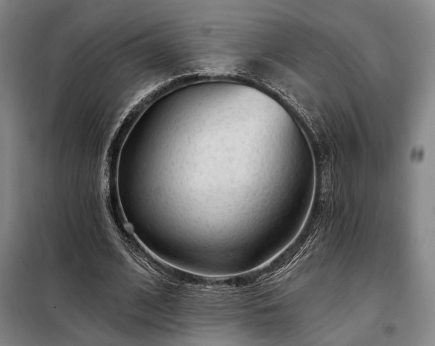 X0000098210584200805011213