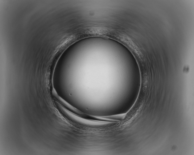 X0000098210585200805011213