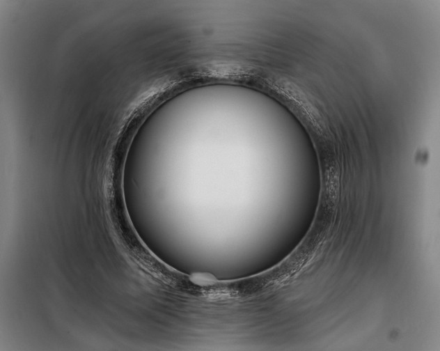 X0000098210587200805011213