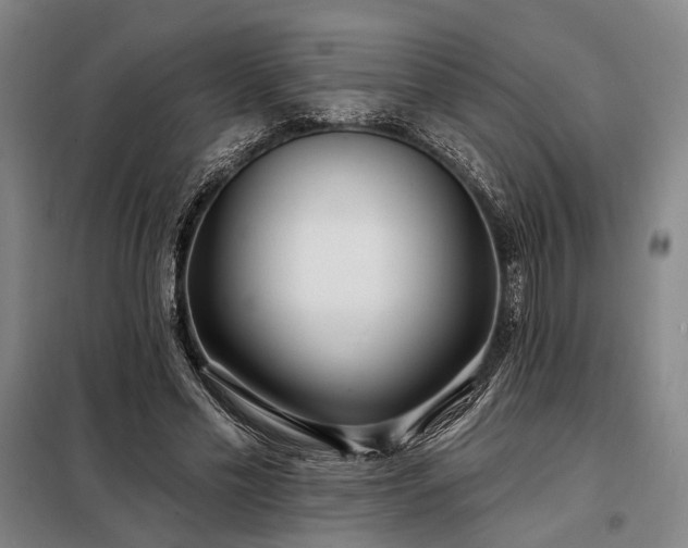 X0000098210589200805011213