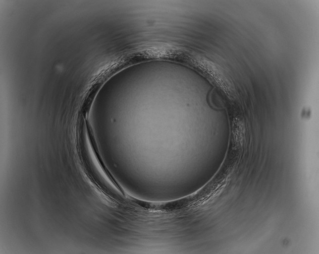 X0000098210590200805011213