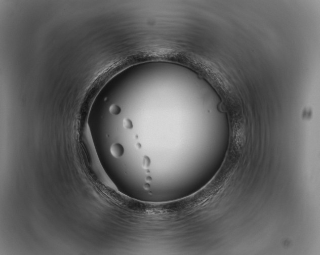 X0000098210591200805011213