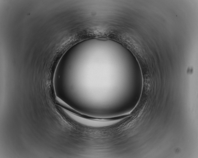 X0000098210593200805011212