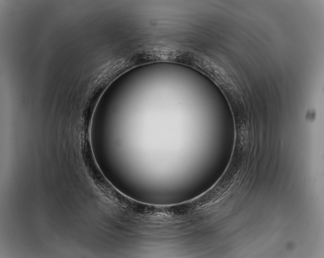 X0000098210594200805011212