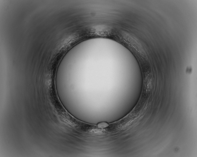 X0000098210595200805011212