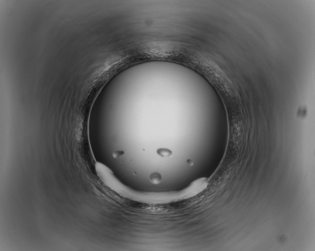 X0000098210596200805011212