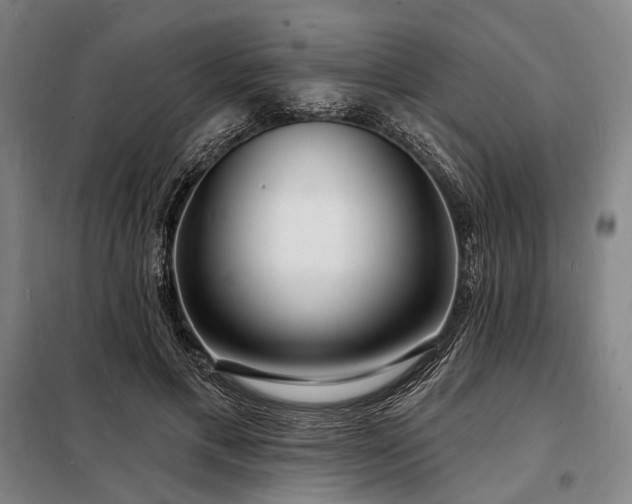 X0000098210597200805011212