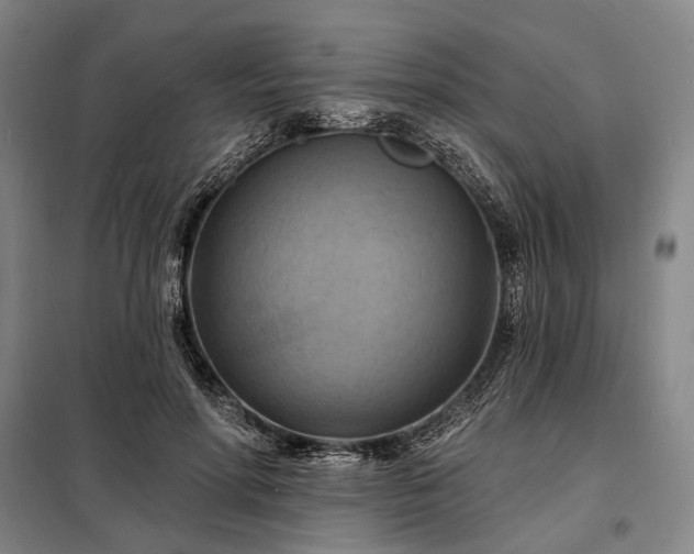 X0000098210598200805011212