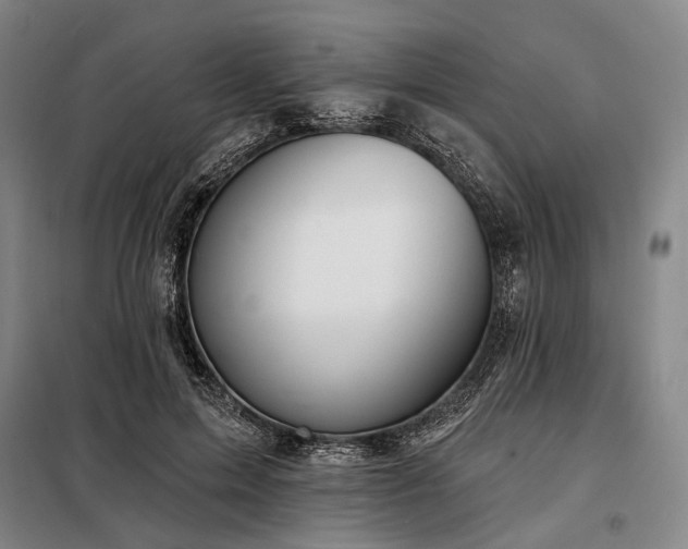 X0000098210599200805011212
