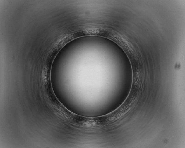 X0000098210600200805011212