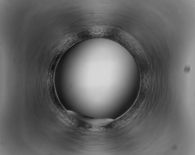 X0000098210601200805011212