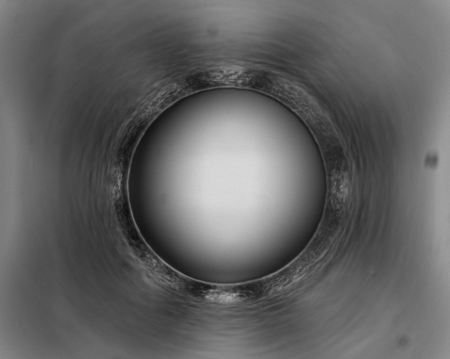 X0000098210602200805011212