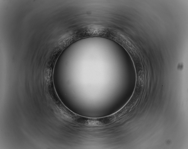 X0000098210605200805011212