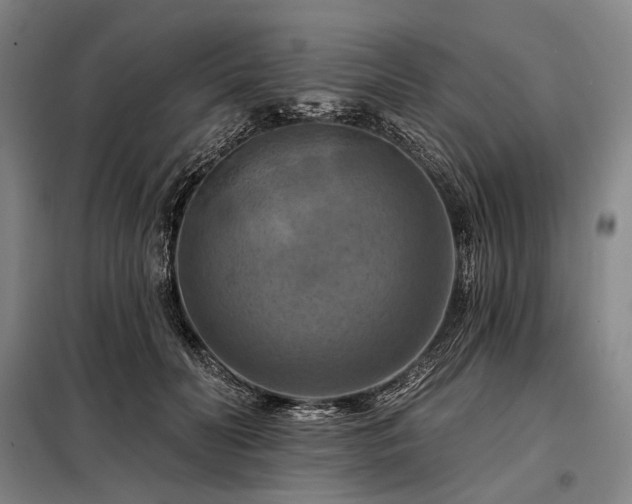 X0000098210606200805011212