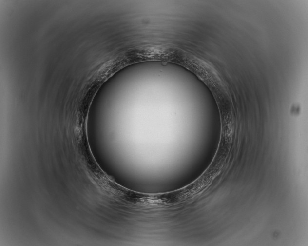 X0000098210607200805011212