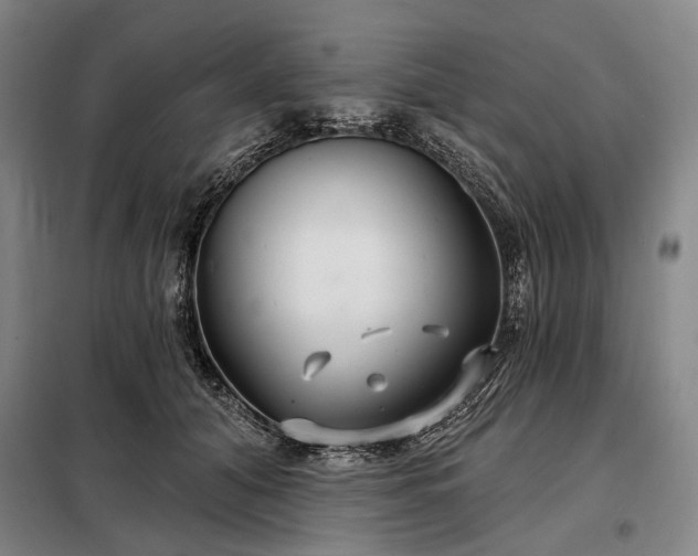 X0000098210608200805011212