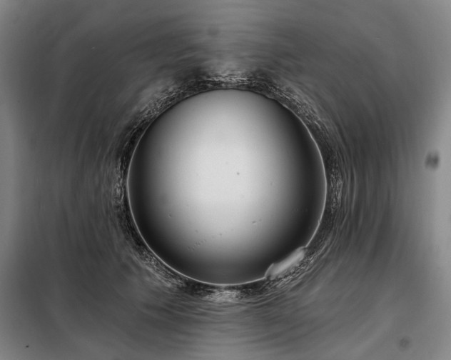 X0000098210609200805011212