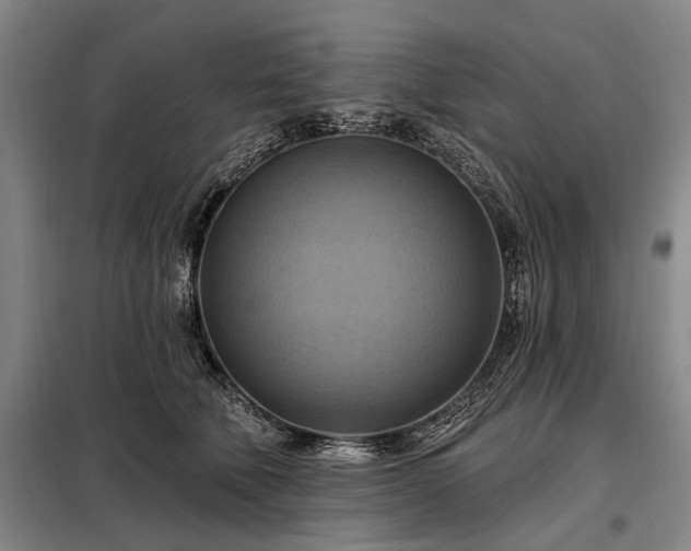 X0000098210610200805011212