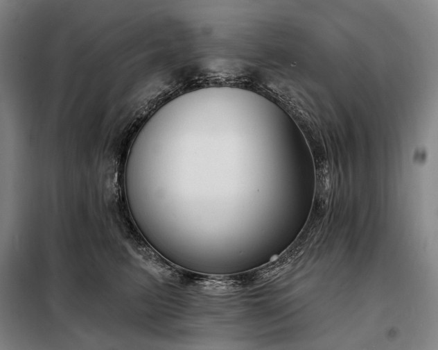 X0000098210615200805011212