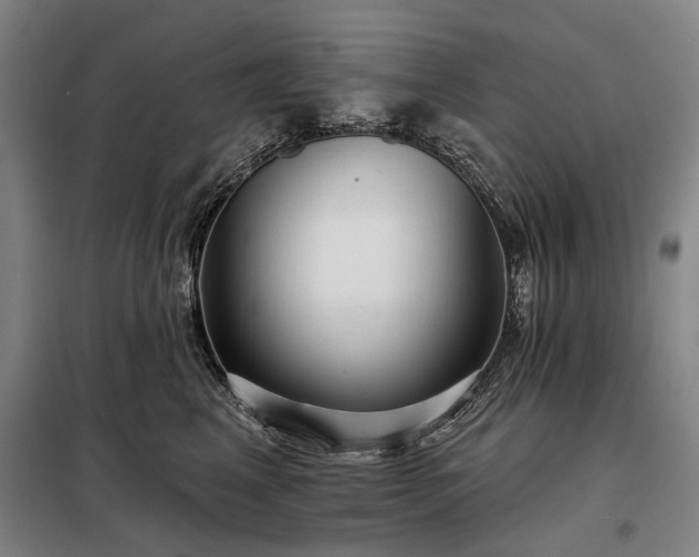 X0000098210617200805011212