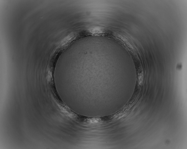 X0000098210618200805011212