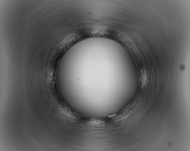X0000098210619200805011212