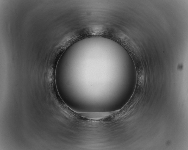 X0000098210620200805011212