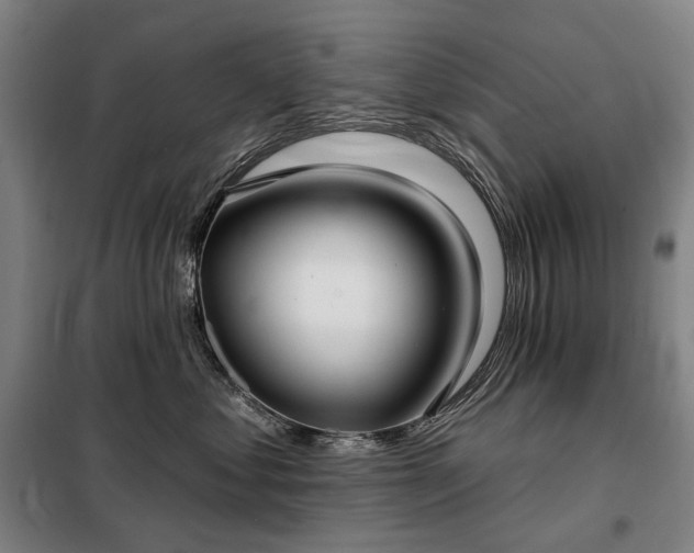 X0000098210621200805011212