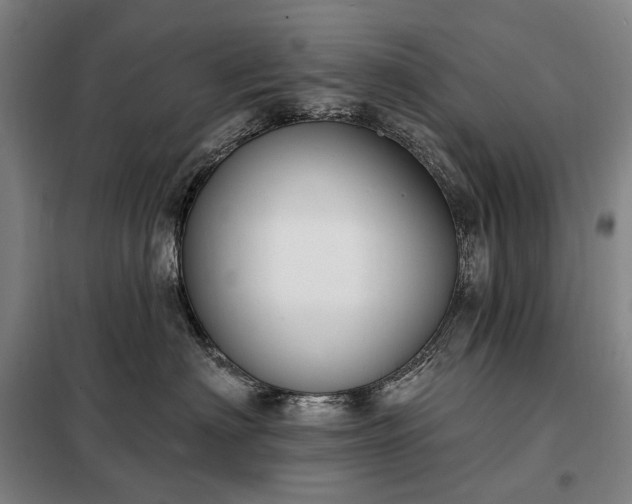 X0000098210622200805011212