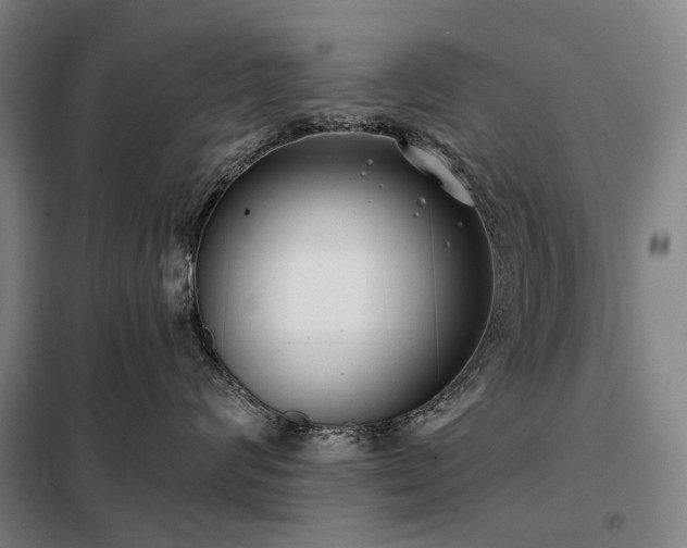 X0000098210624200805011212