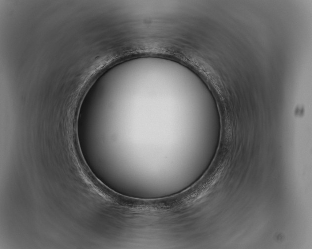 X0000098210625200805011211