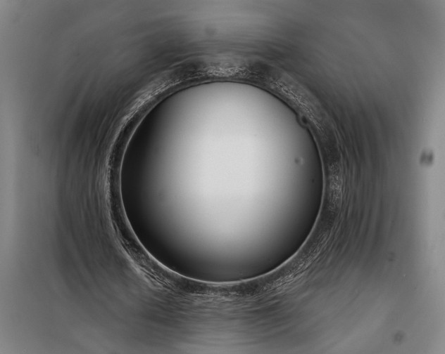X0000098210626200805011211