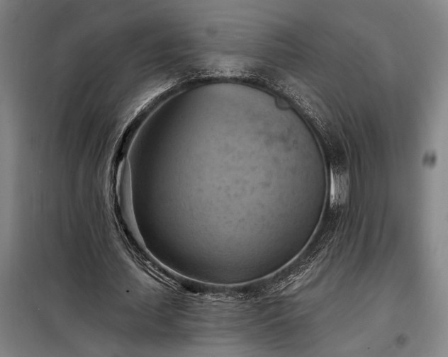 X0000098210627200805011211