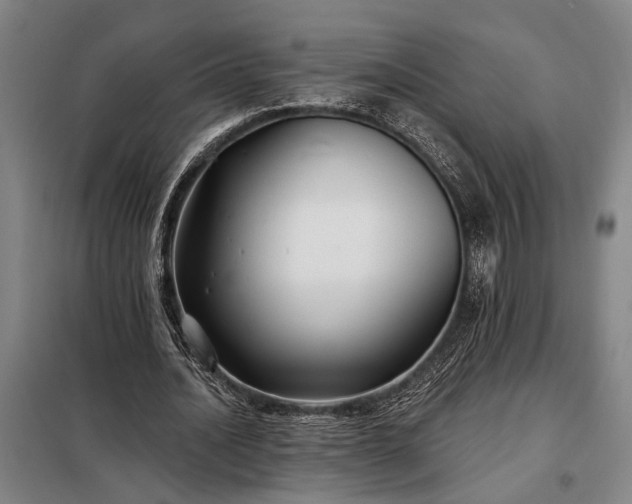 X0000098210628200805011211