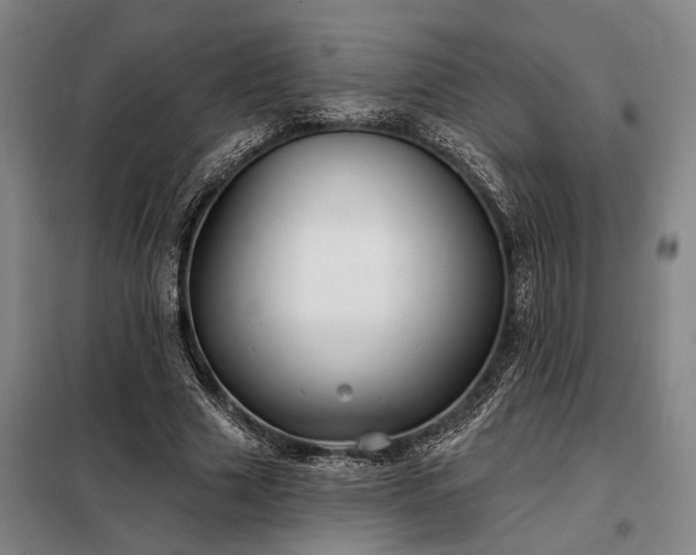 X0000098210633200805011211