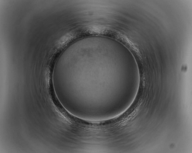 X0000098210637200805011211