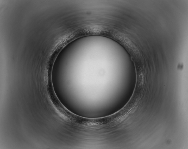 X0000098210638200805011212