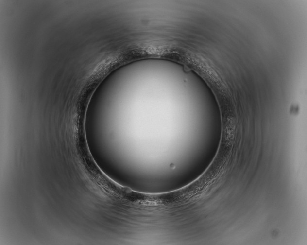 X0000098210639200805011212