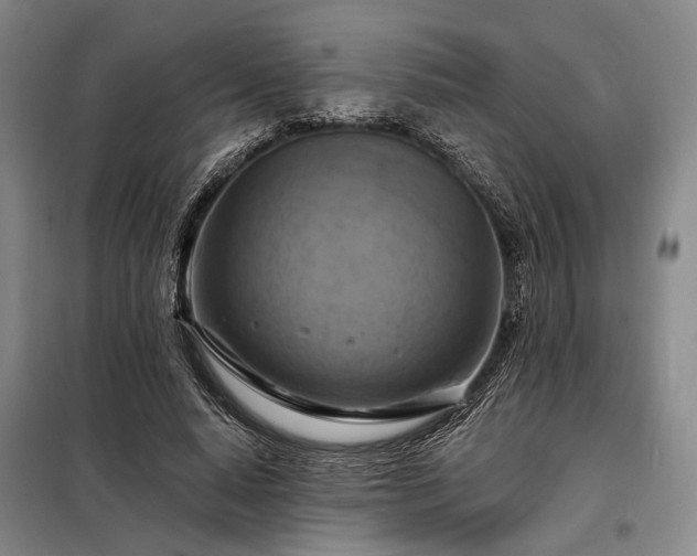X0000098210640200805011212