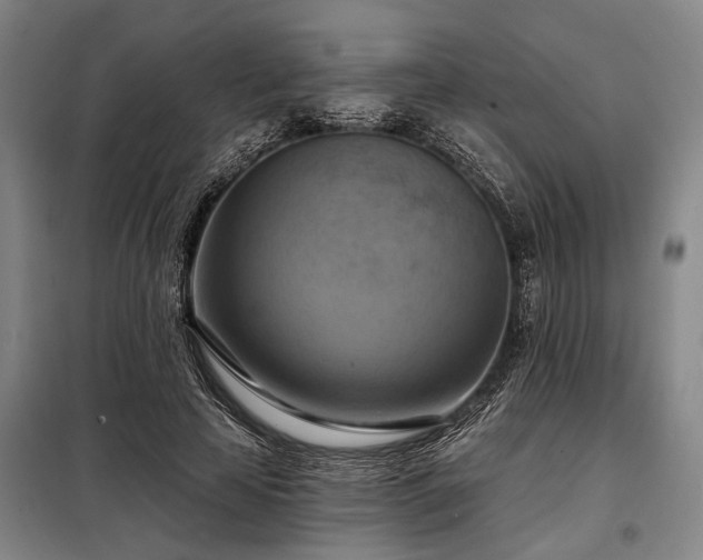 X0000098210641200805011212