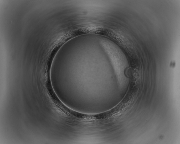 X0000098210642200805011212
