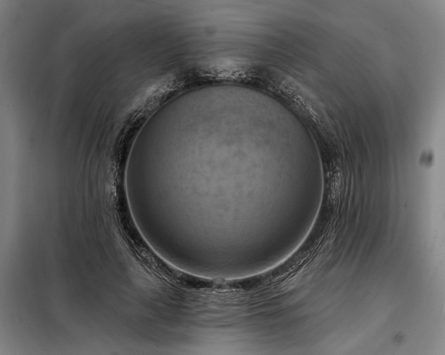 X0000098210643200805011212
