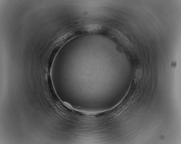 X0000098210644200805011212