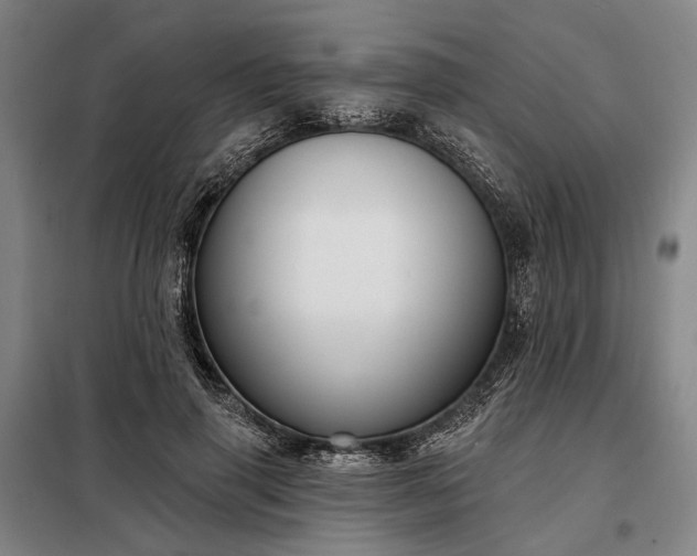 X0000098210645200805011212