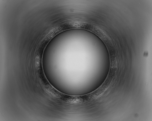 X0000098210646200805011212