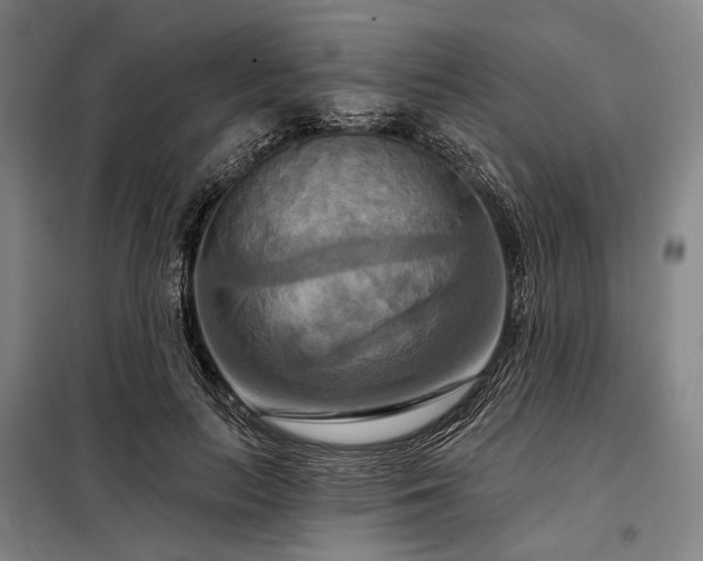 X0000098210647200805011212