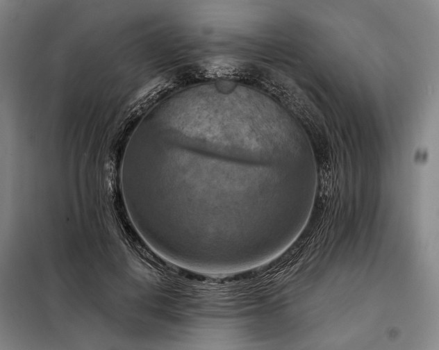 X0000098210648200805011212