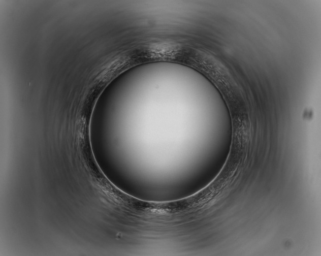 X0000098210649200805011212