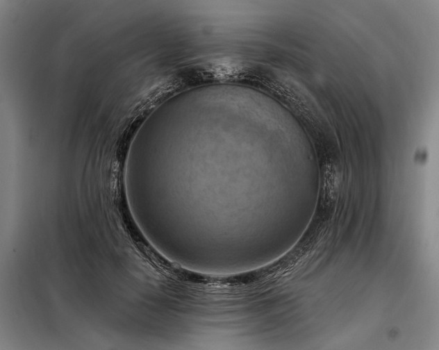 X0000098210650200805011212